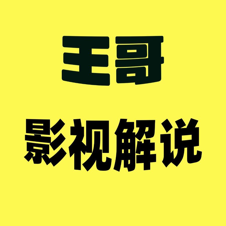 王哥影视解说