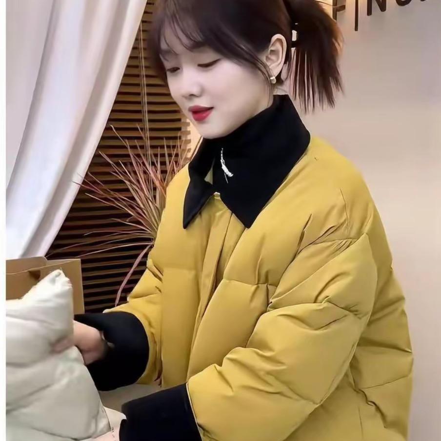 采琪工厂女装