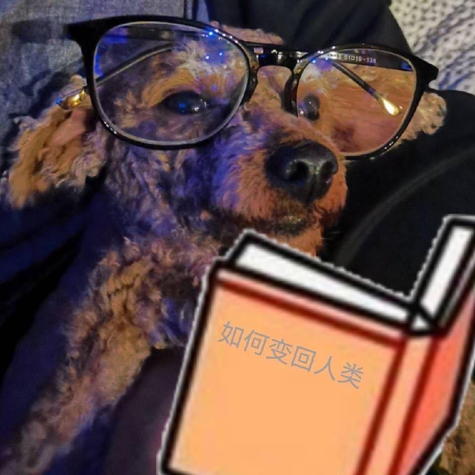 未来可戚