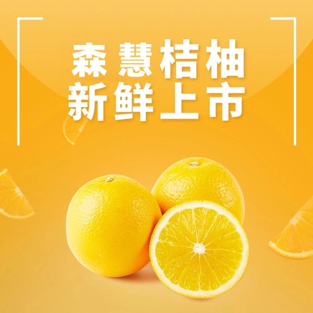 森哥-正能量🧑‍🤝‍🧑