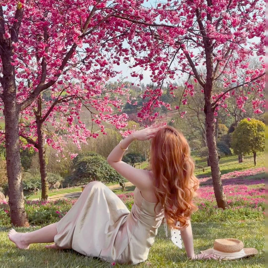 瓜兮兮的慧慧🐨