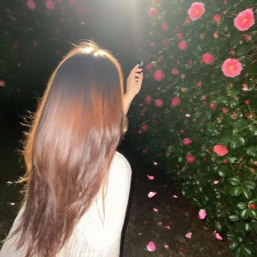 ༺昭昭᭨ᮩ如愿💕ꦿ᭄