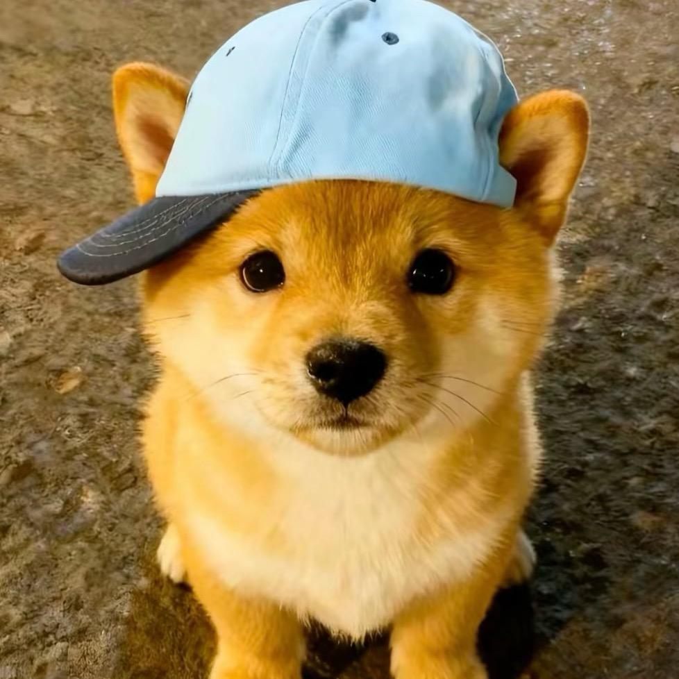 路人111