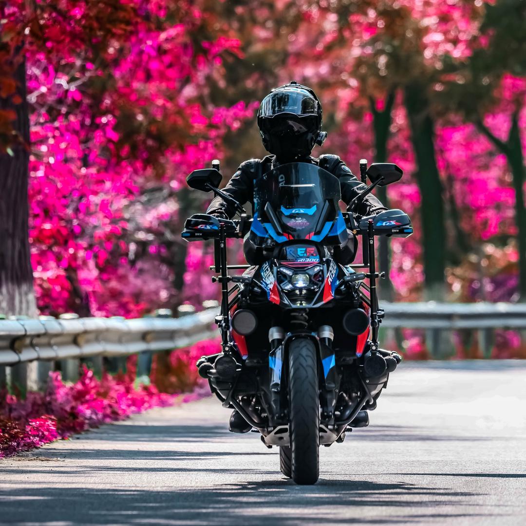 骑不快的老冰糖