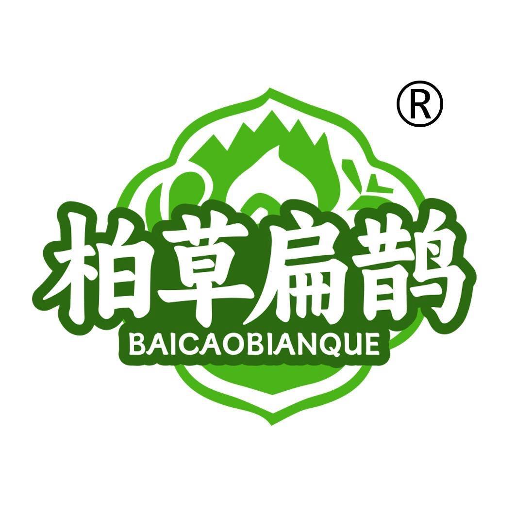 云门大师兄与柏草扁鹊