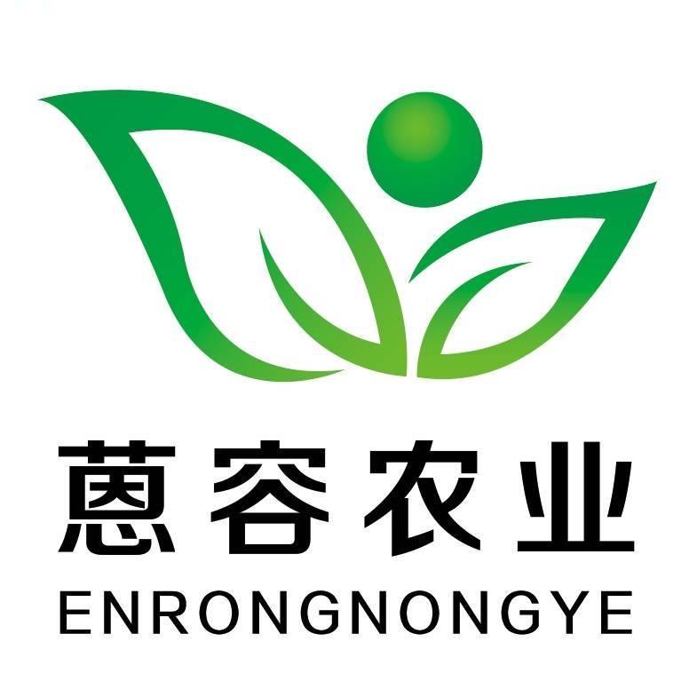 芽苗菜技术