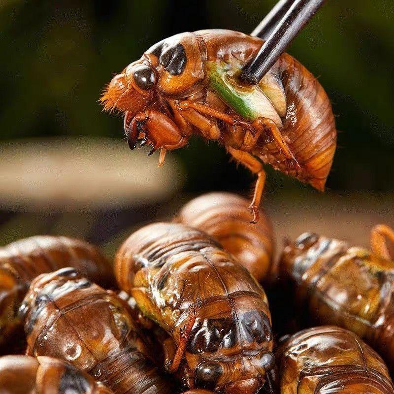 曼巴海禾生鲜臻选