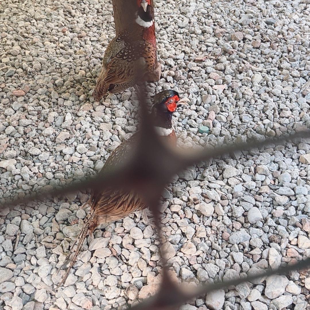 赣州市世绅电子商务有限公司金额泡脚桶运营