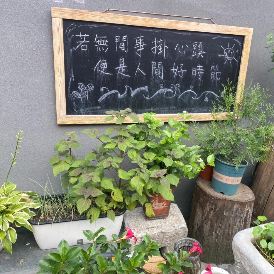 吃煎饼卷小葱长大