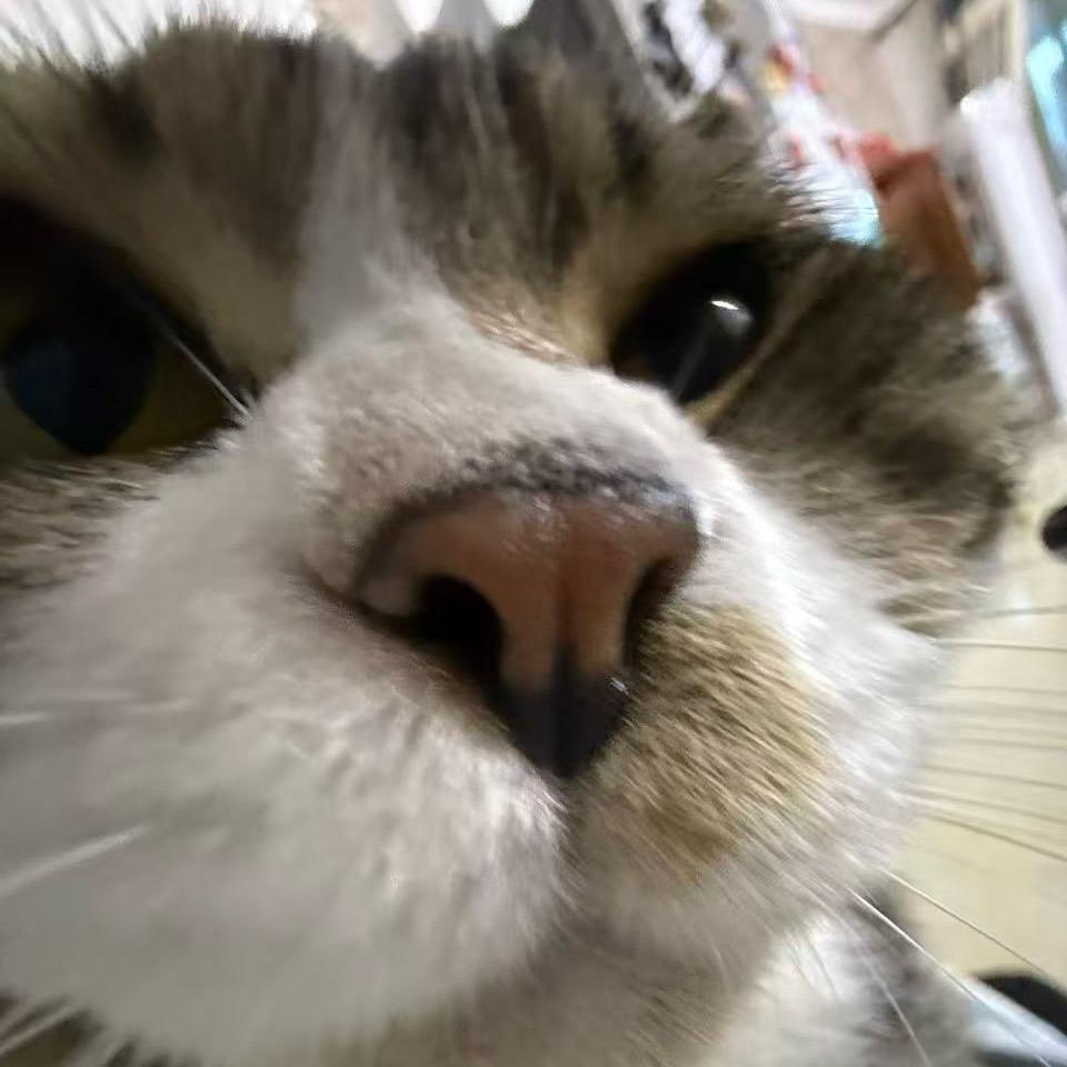 前任💗雨天☔️出木巨