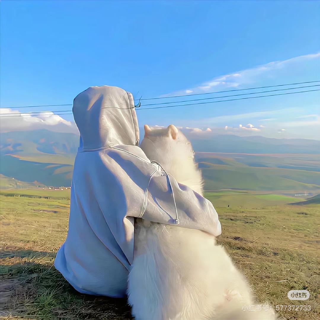 人生不过三万天ˣᵒˣ