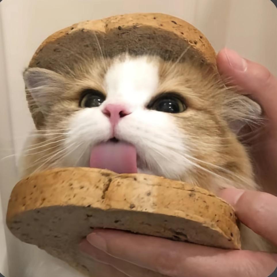 小小陈_