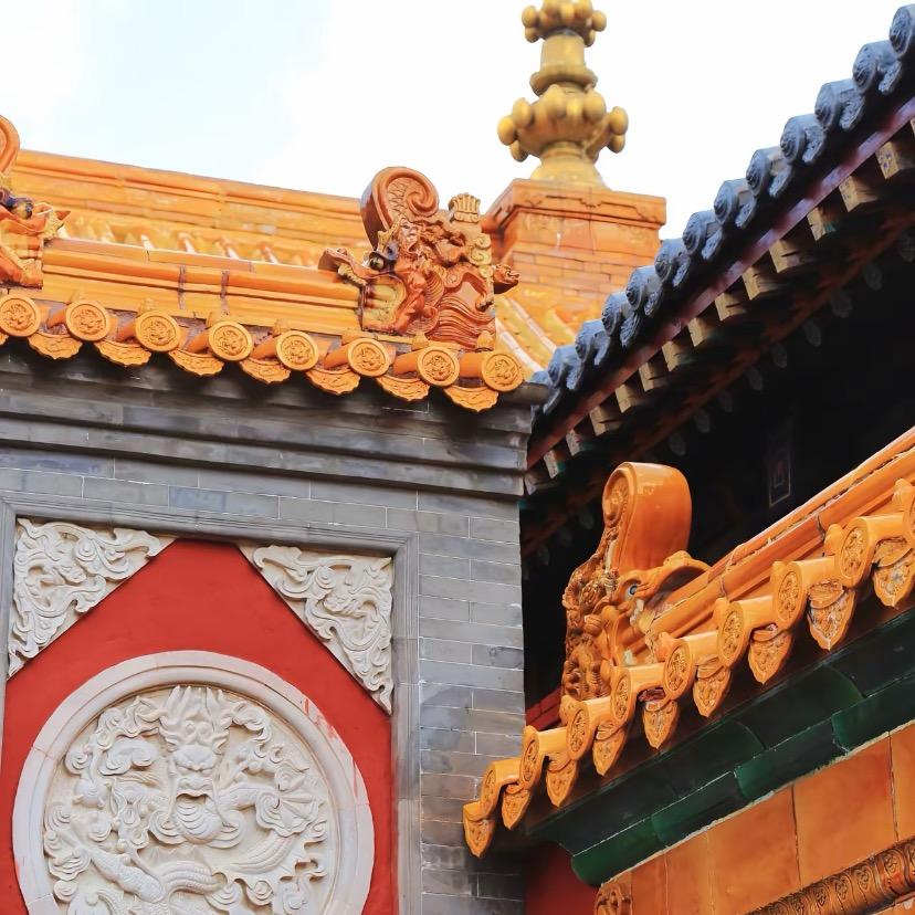 五台慧棕
