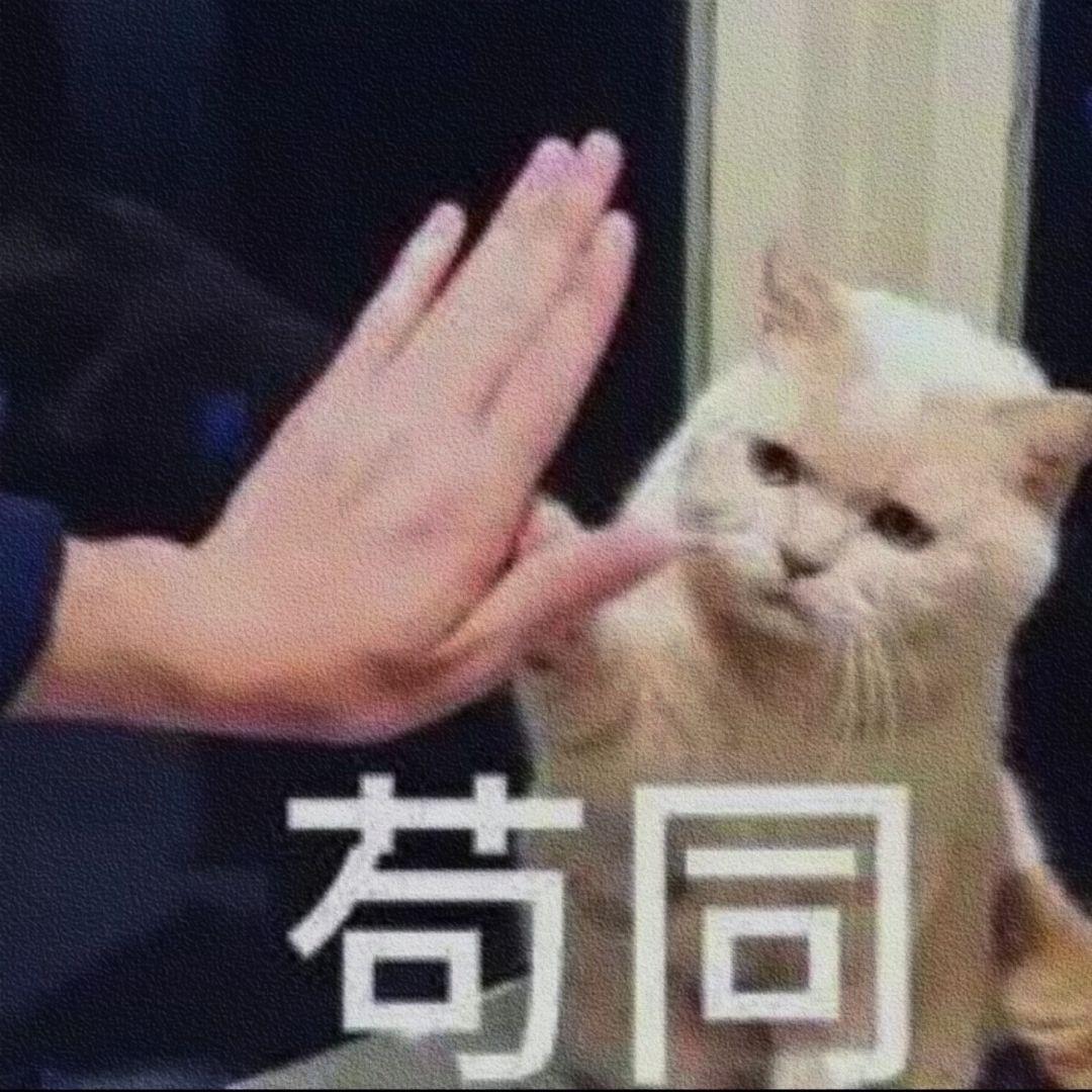 文缘