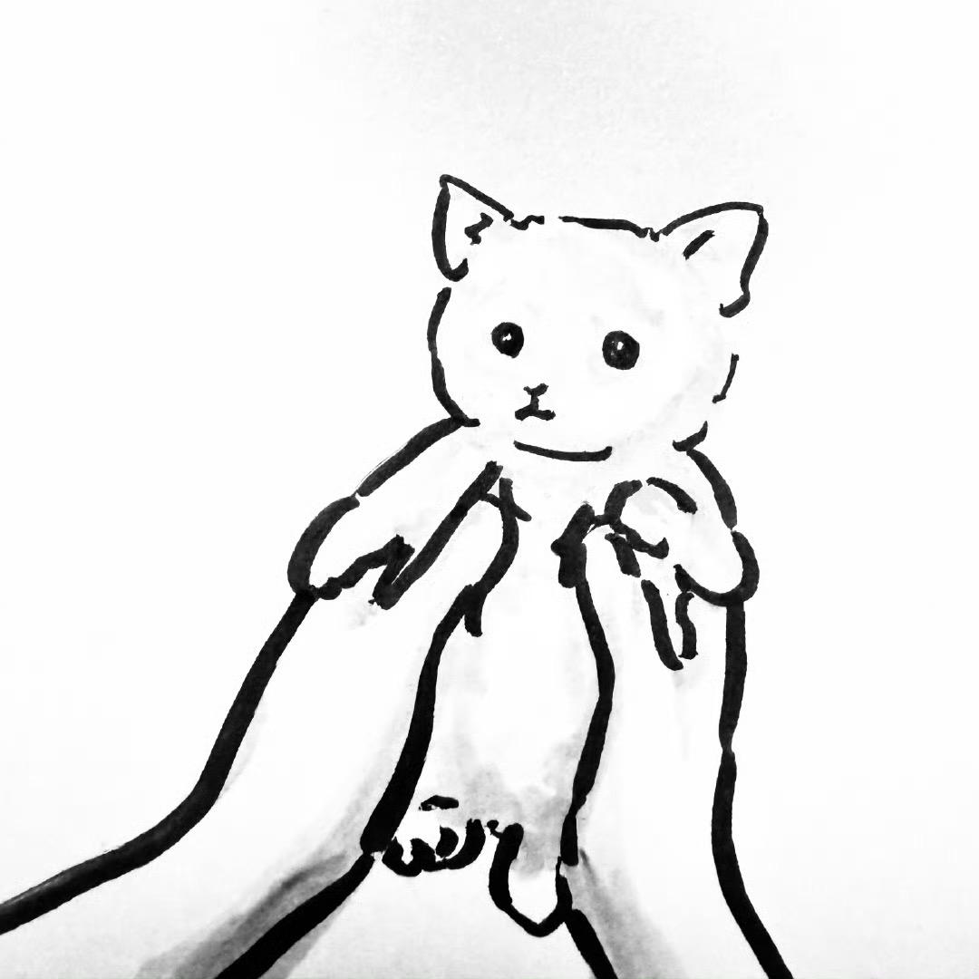 猫屿