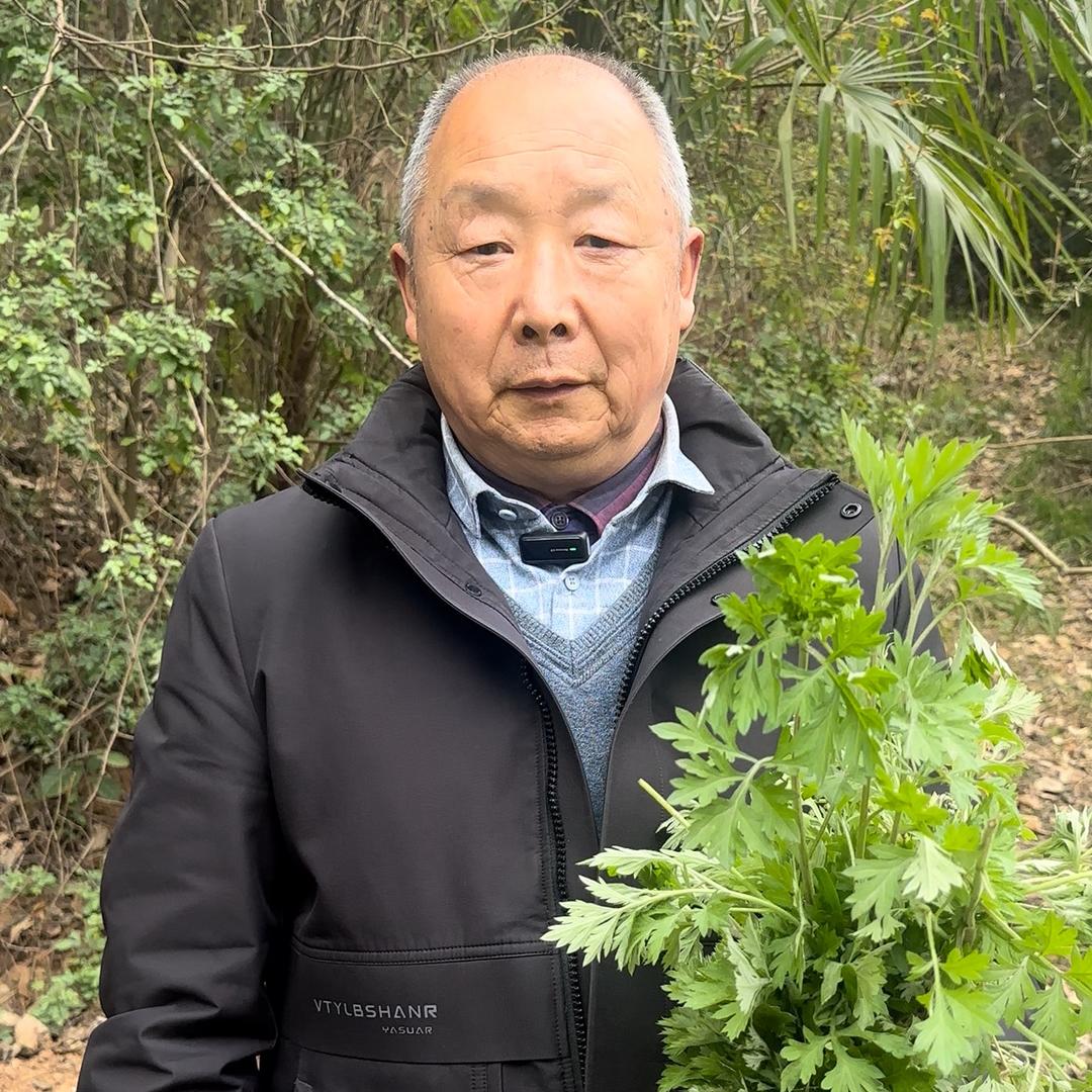 锦溪