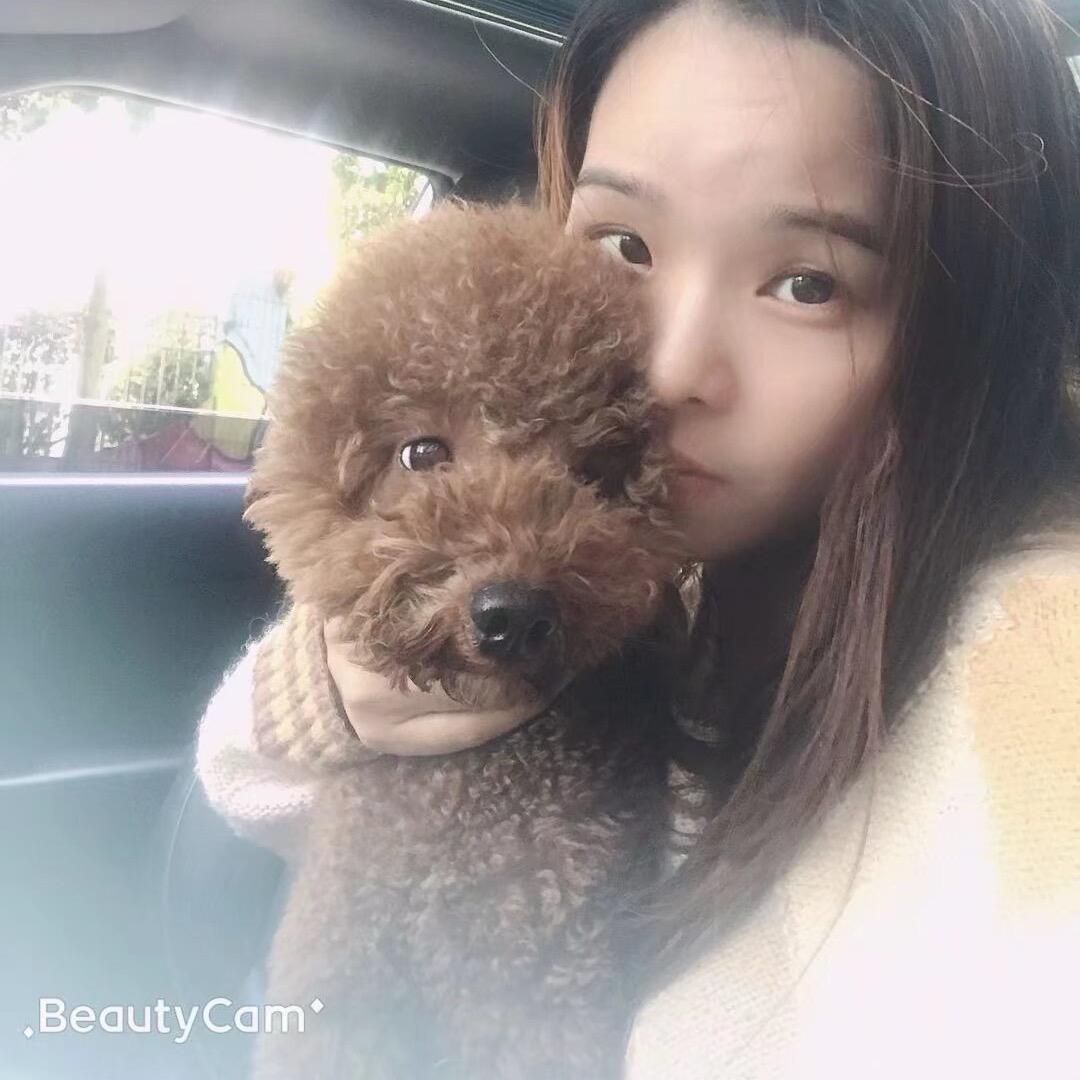 灵魂画手叶子🍁