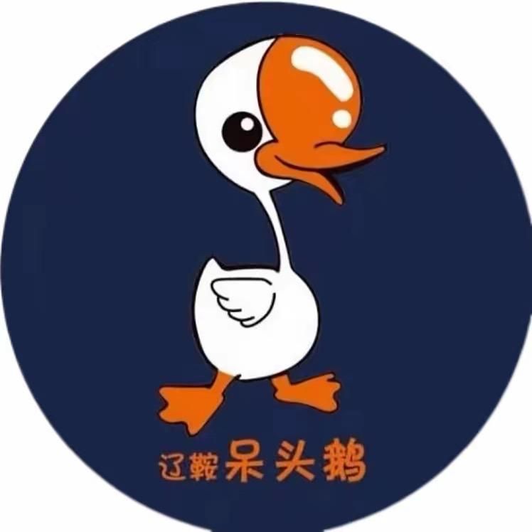 呆头鹅精品鹅蛋