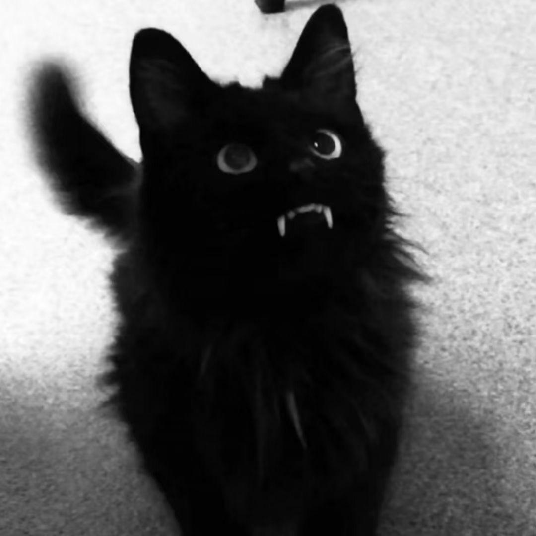 T-one小鹏台球器材