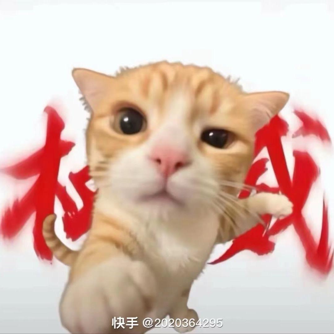 和平精英图图