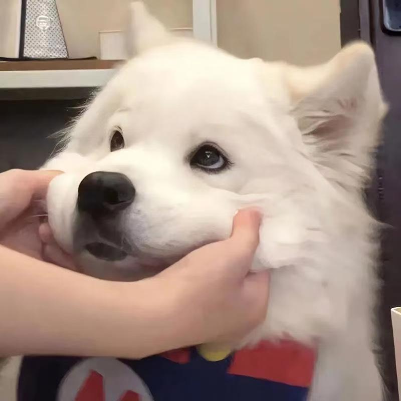圆小七