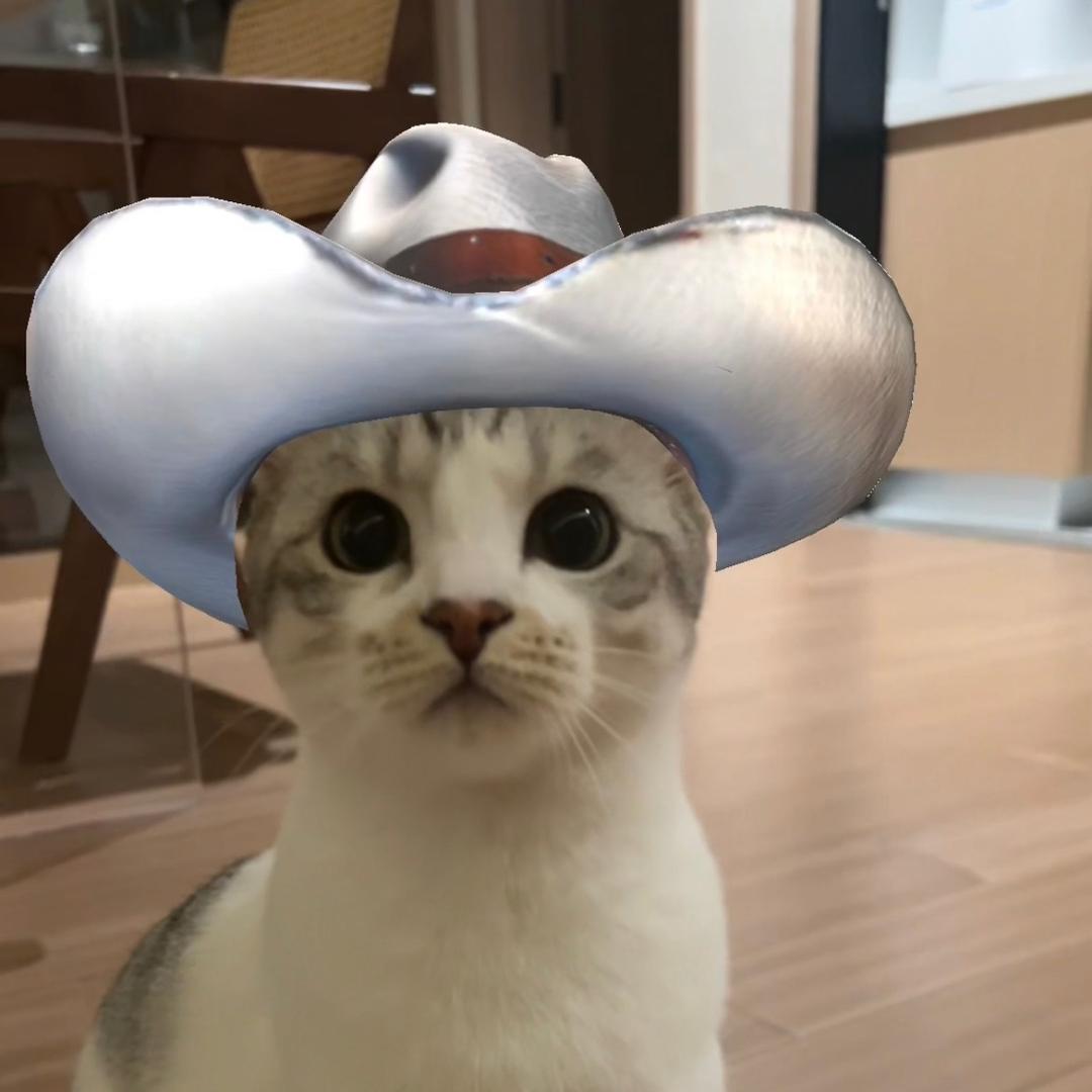 坚果墙大王