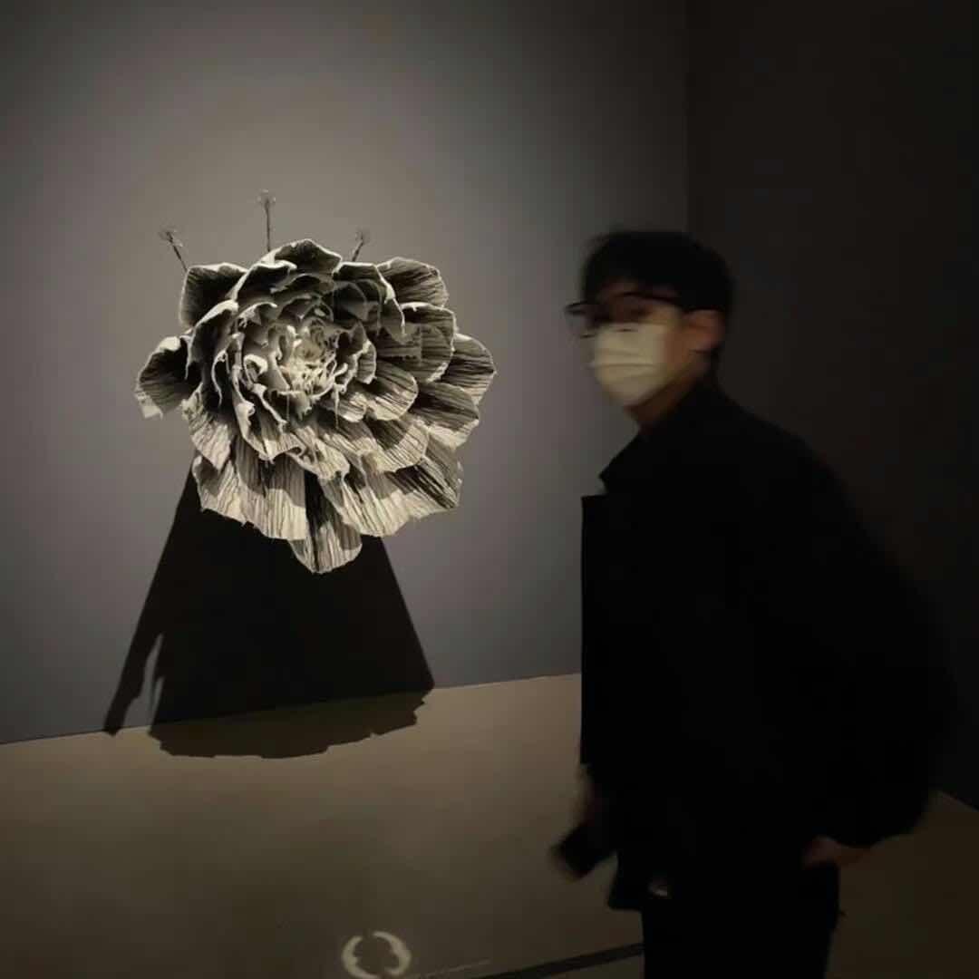不期待