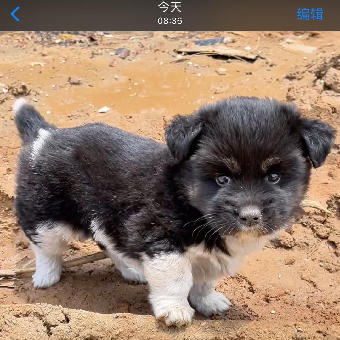 瞰福建