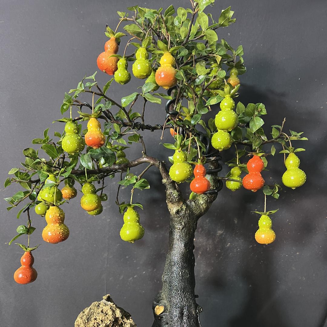 涛鸿运丰园艺店