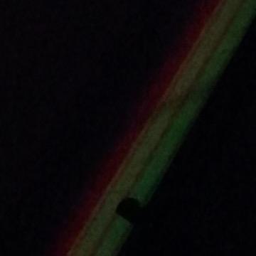 我叫敢敢