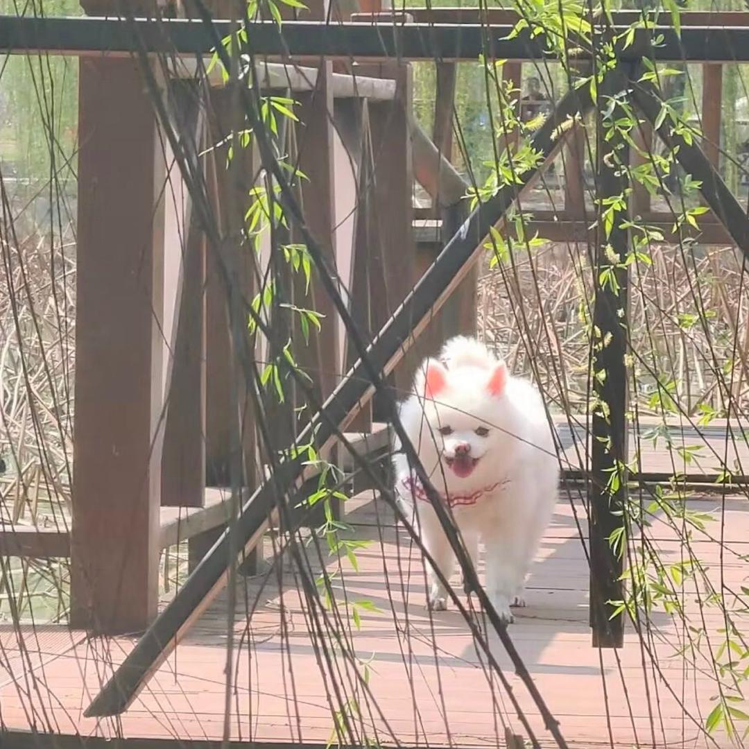 🌈🌻瑶瑶🌼🌼