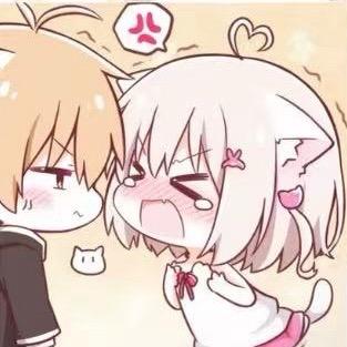 烧鹅饭不放香菜