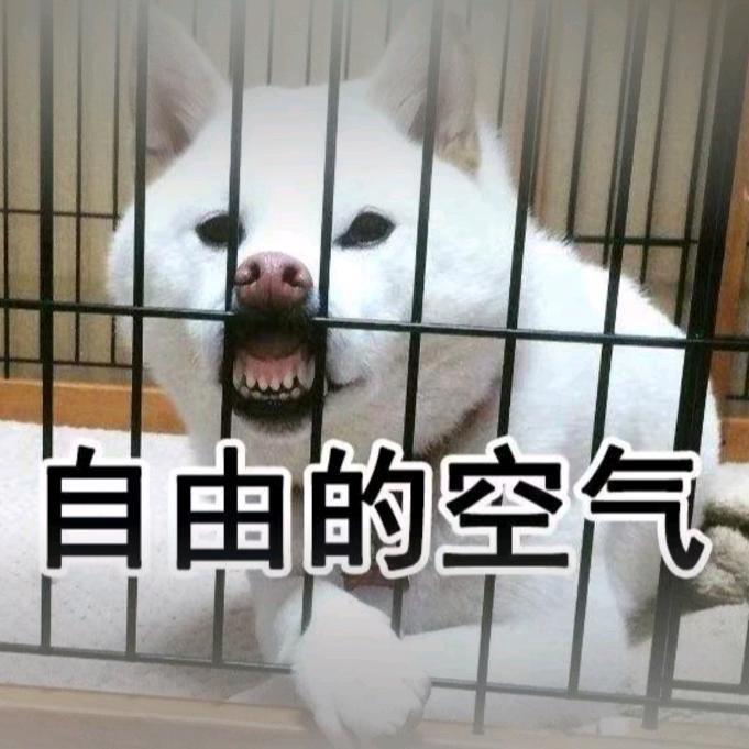 小张不爱打工