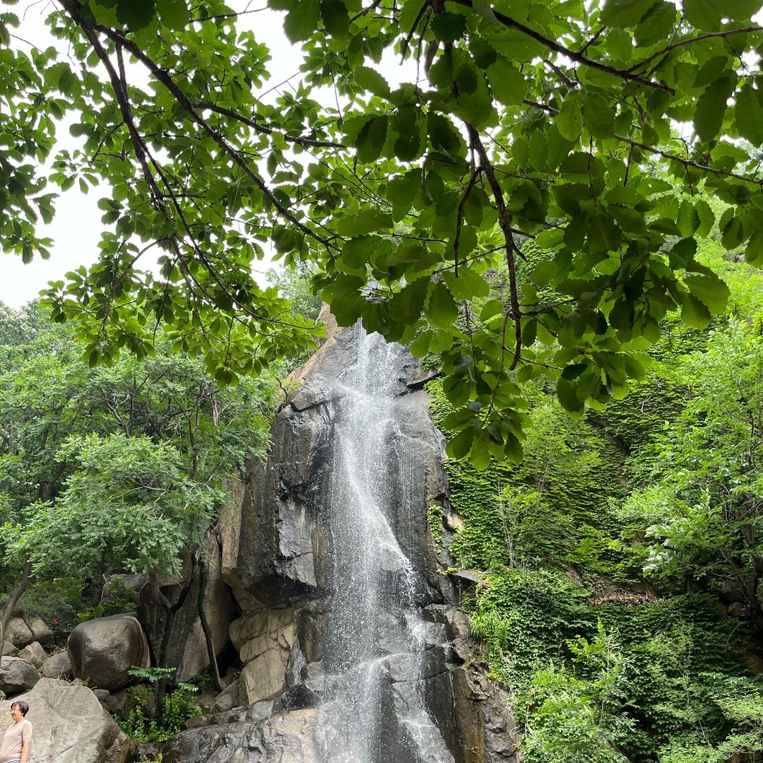 顺遂