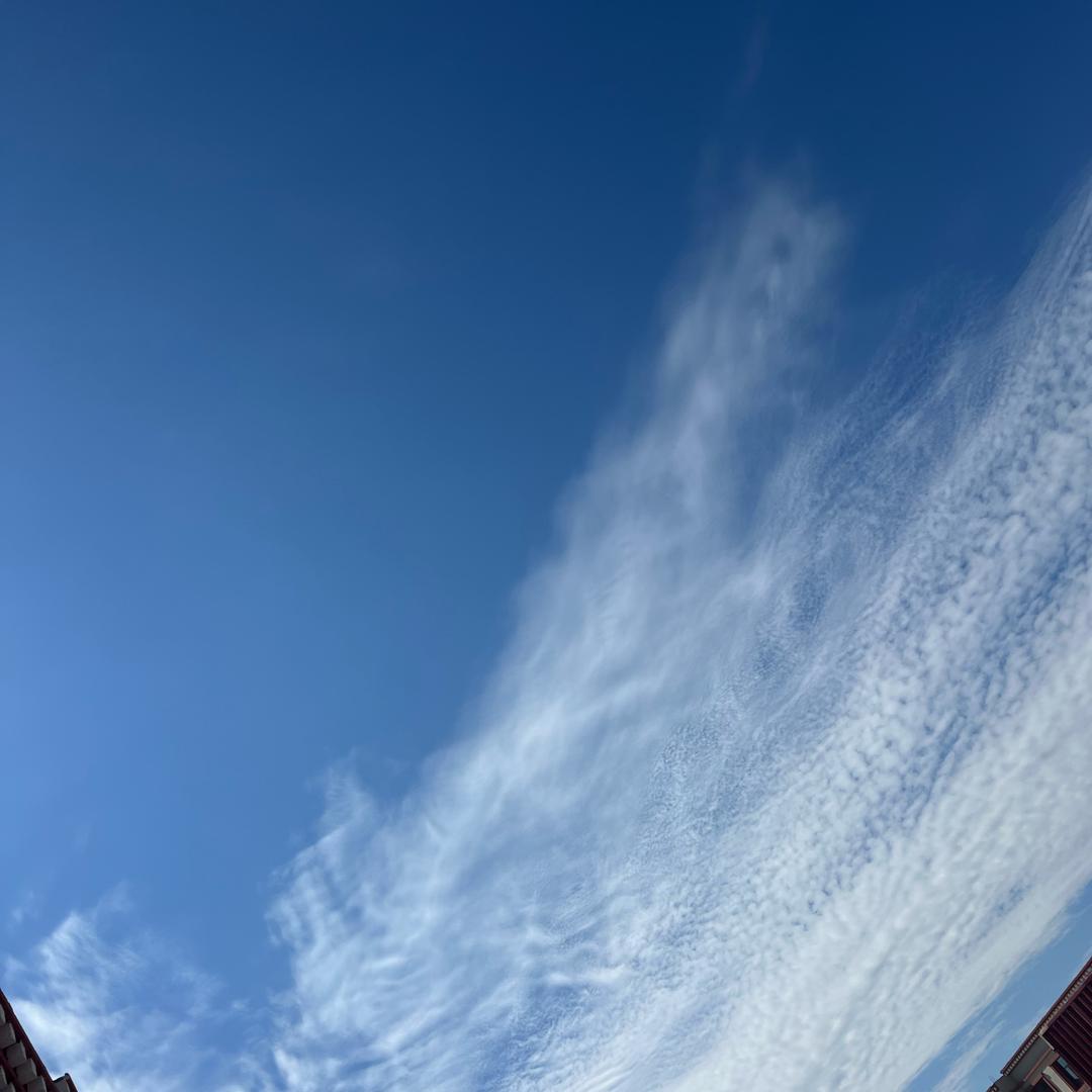 喜欢篮球的男孩