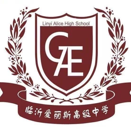 临沂爱丽斯高中-韩老师