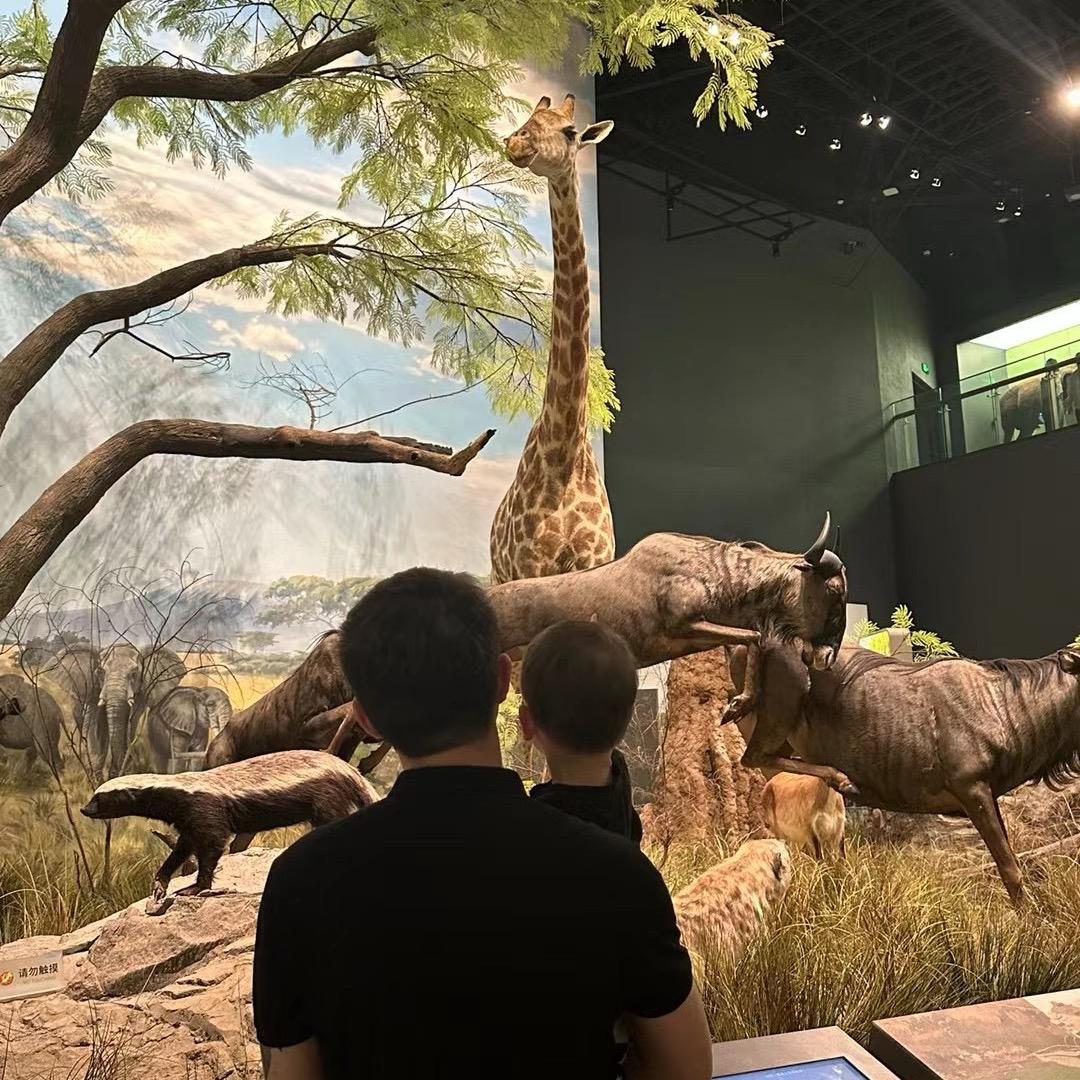 👾👾怪兽