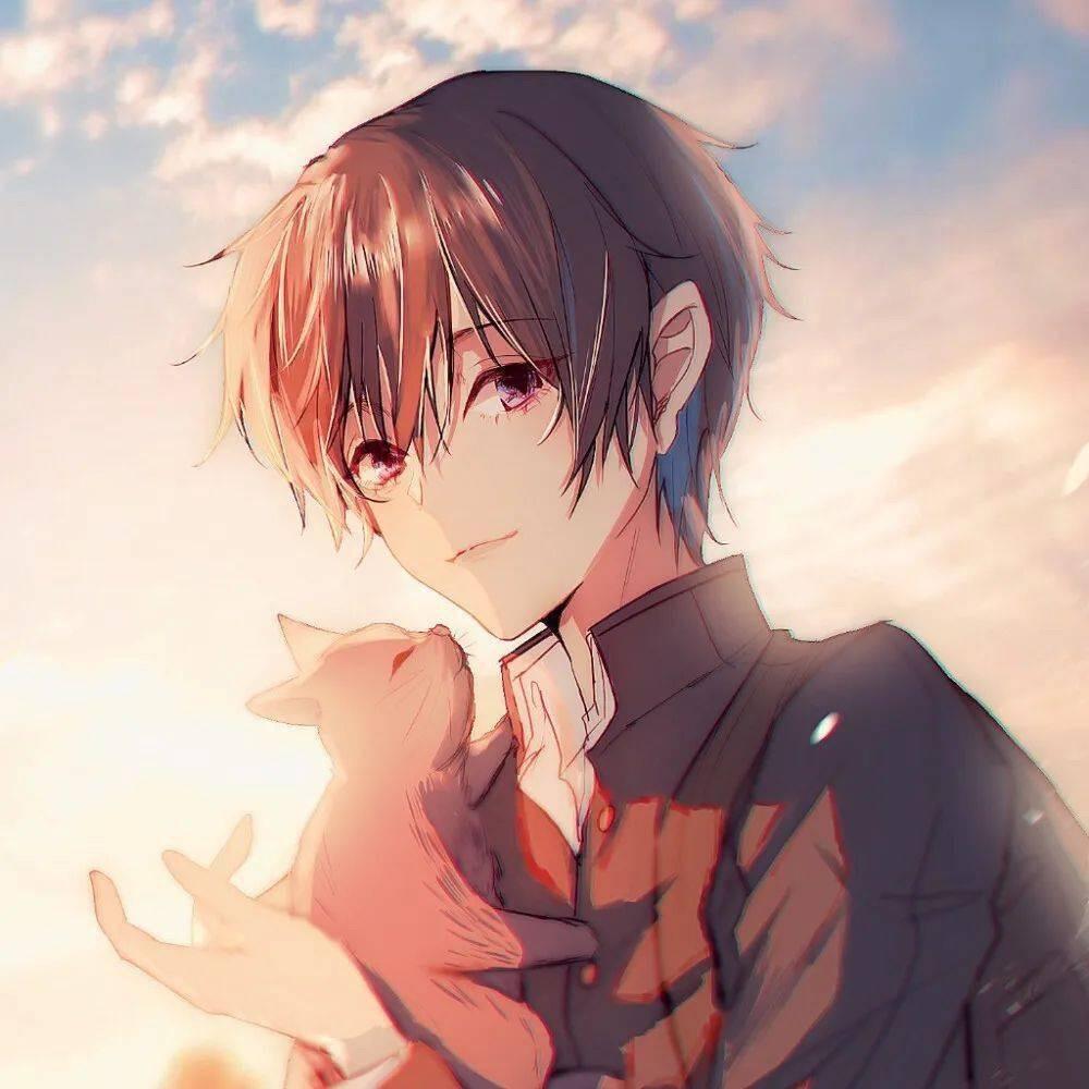 美洪简单直播设备供应商