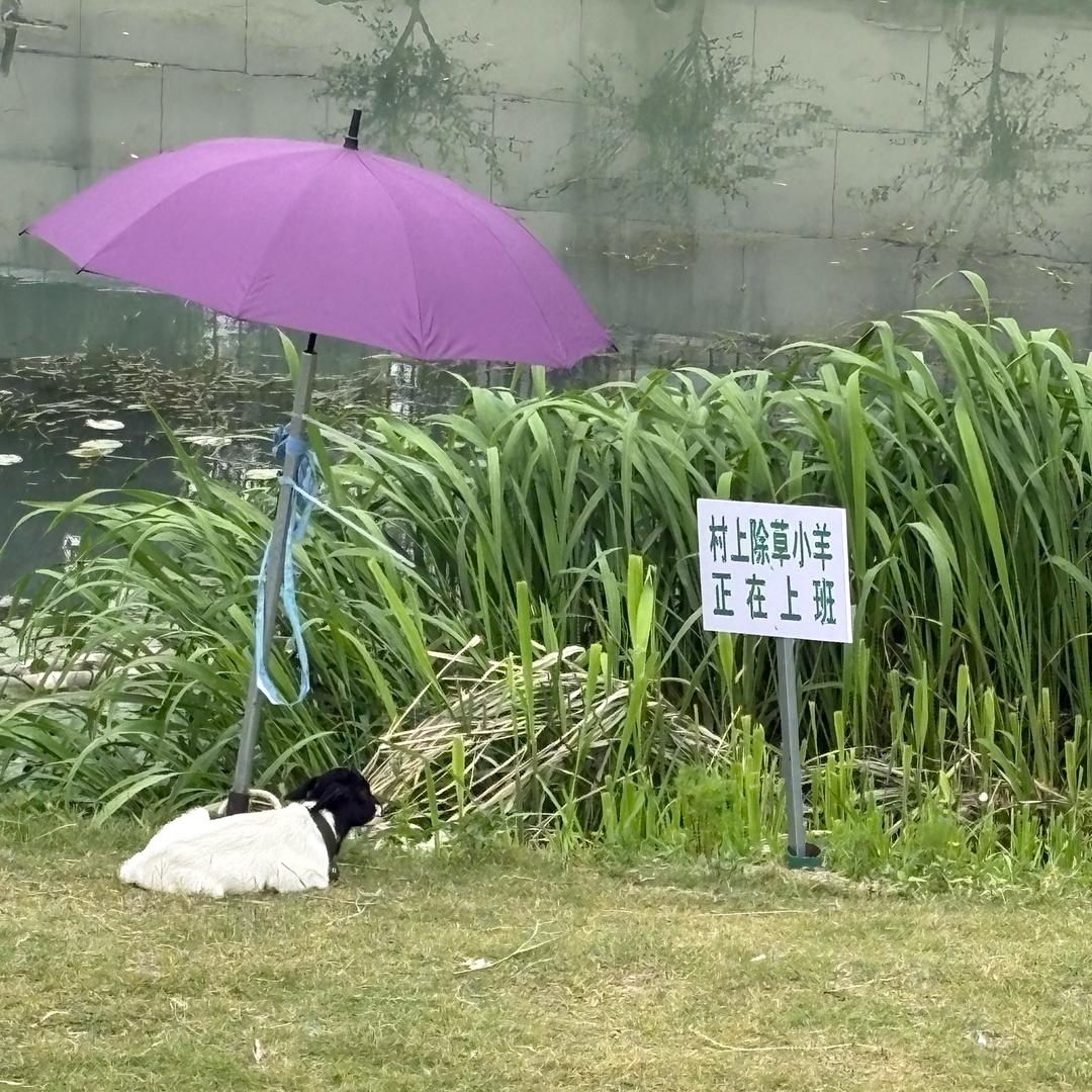 啊不辣不辣不啦