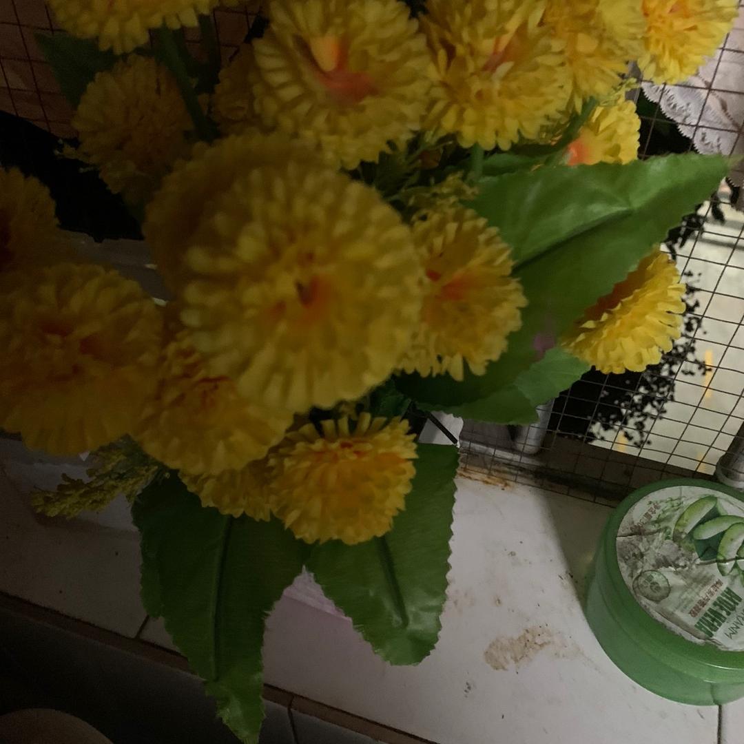 四季平安