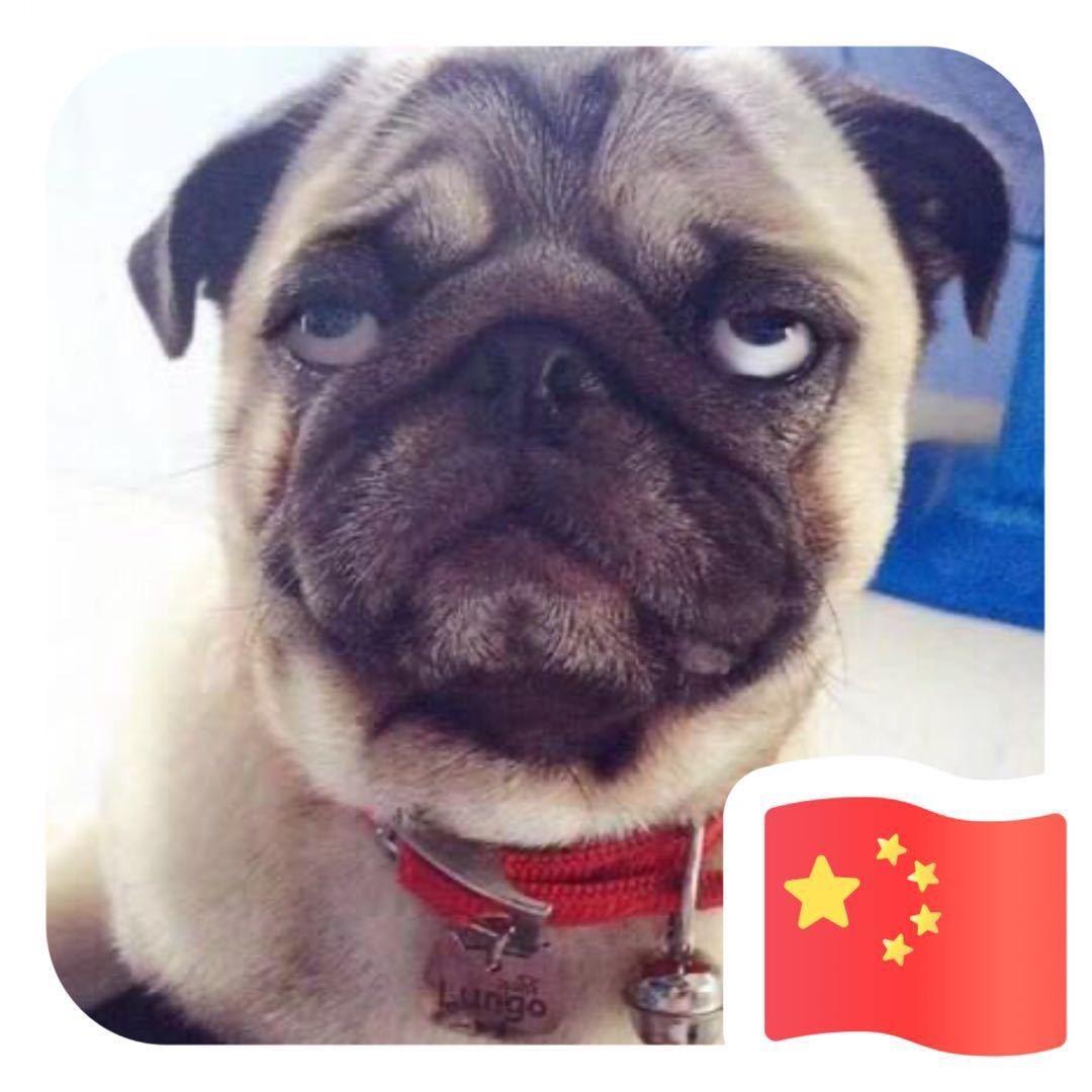 闷油瓶