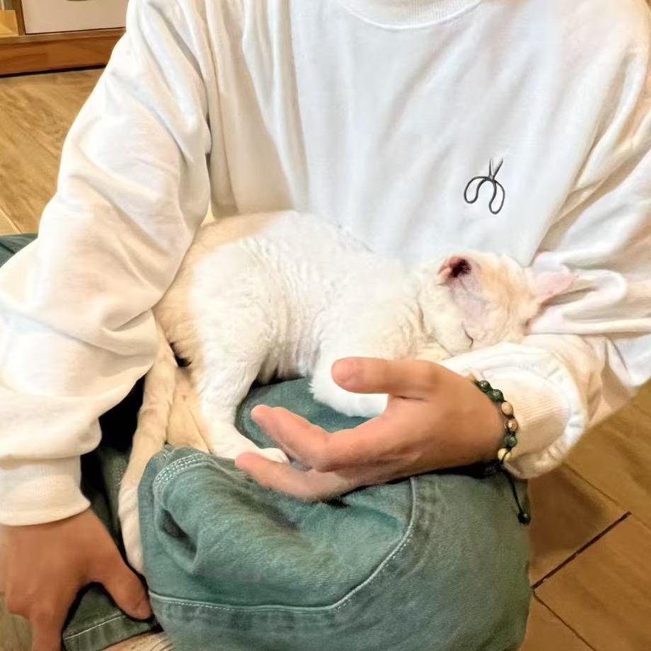 我是止贱