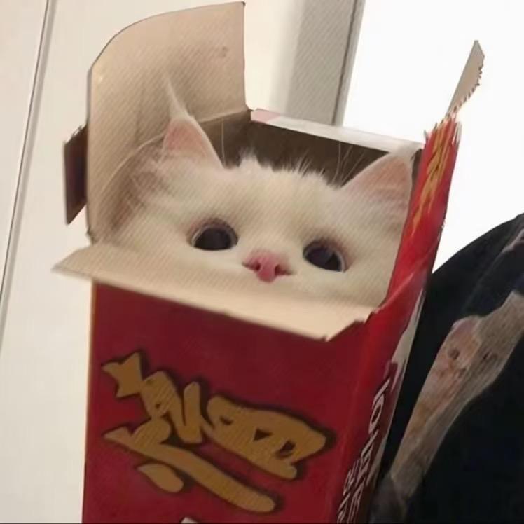 艾米