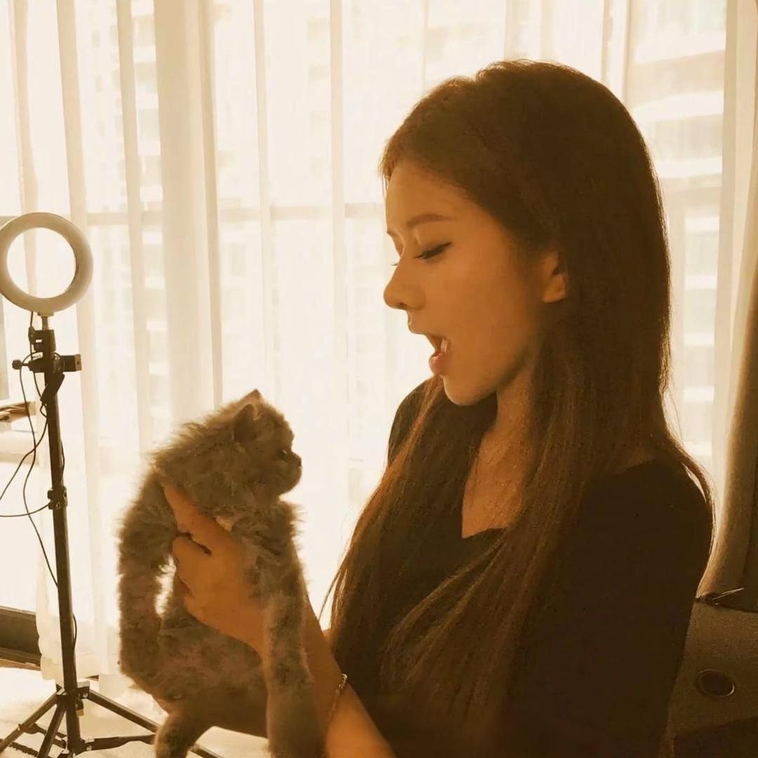 🐾