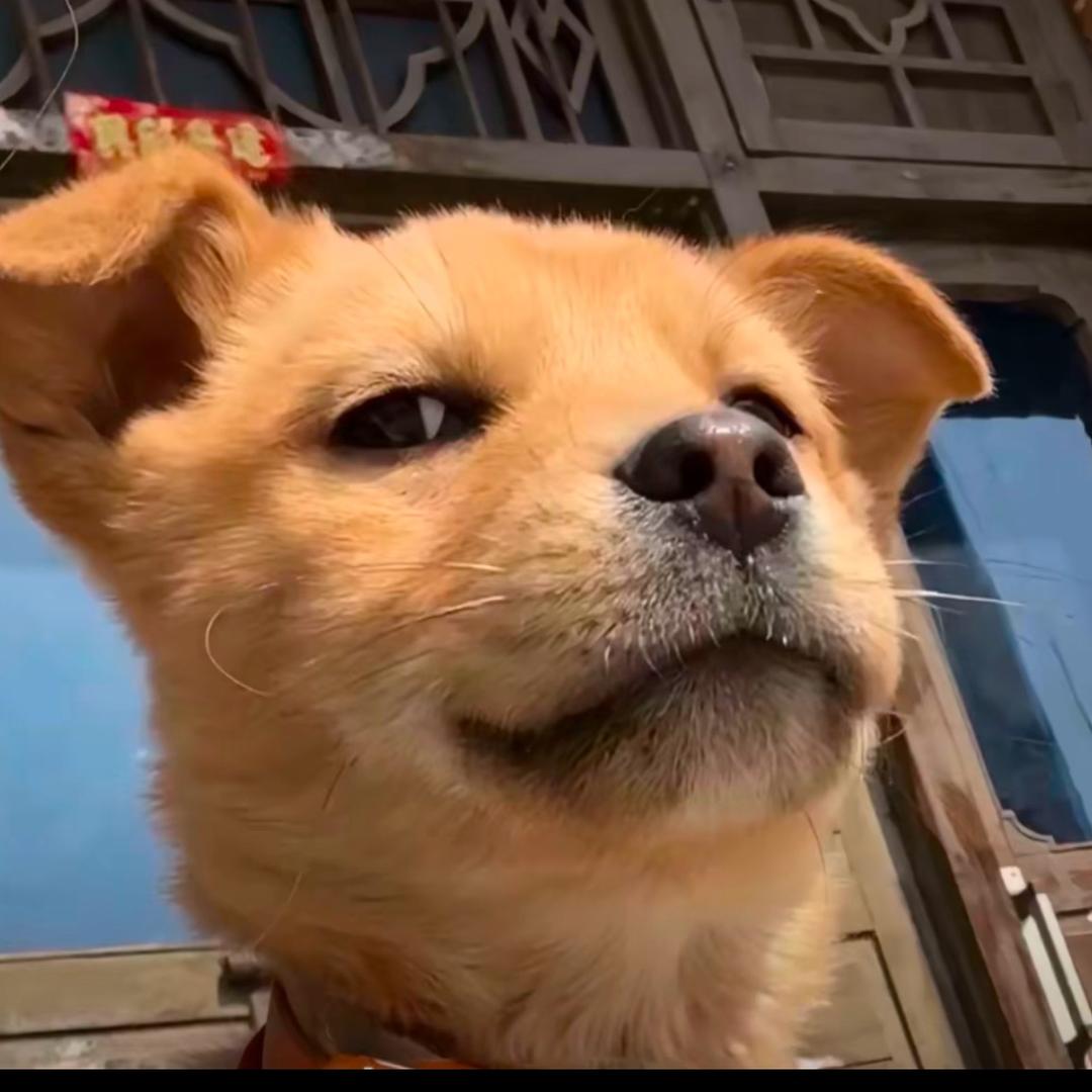 哇塞