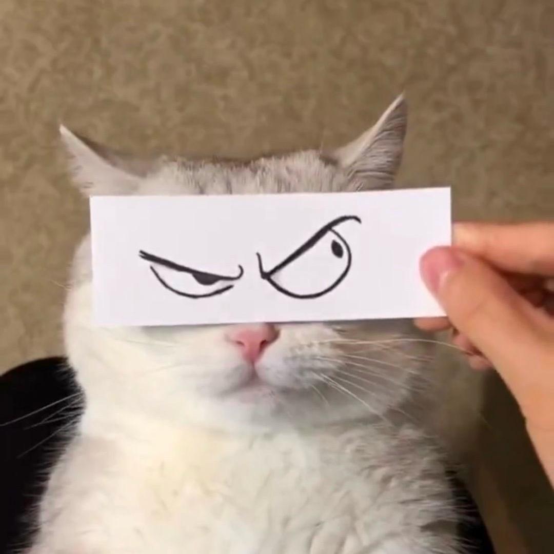 BoxeR头像