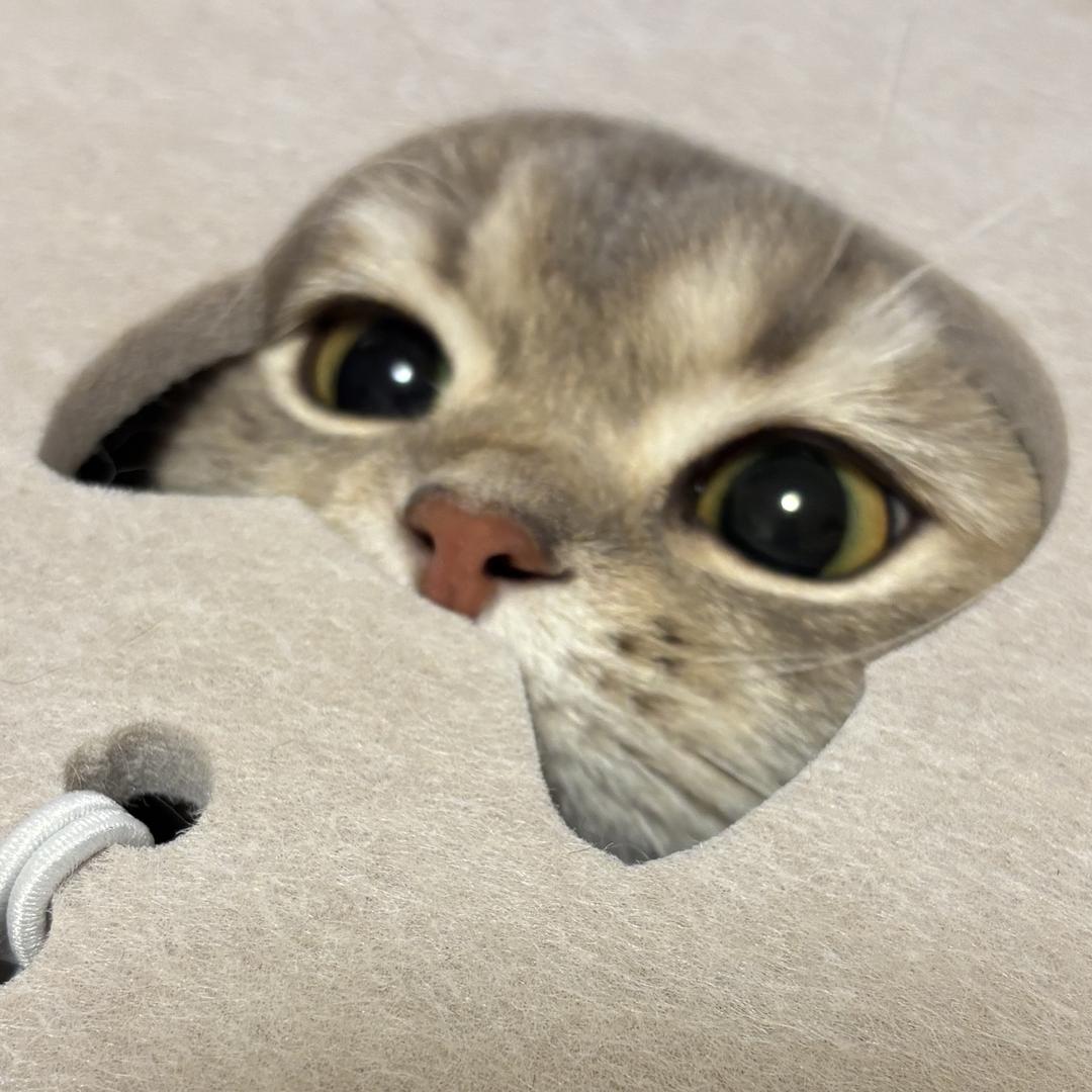 哇哇叽来也