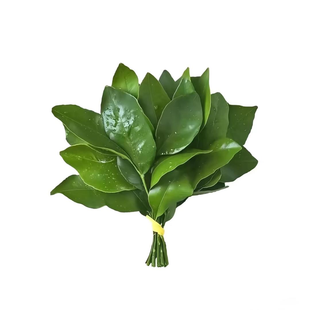 大小姐
