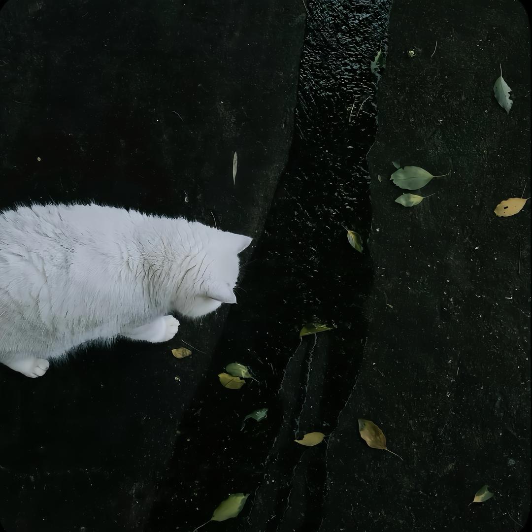 ㅤㅤ静听