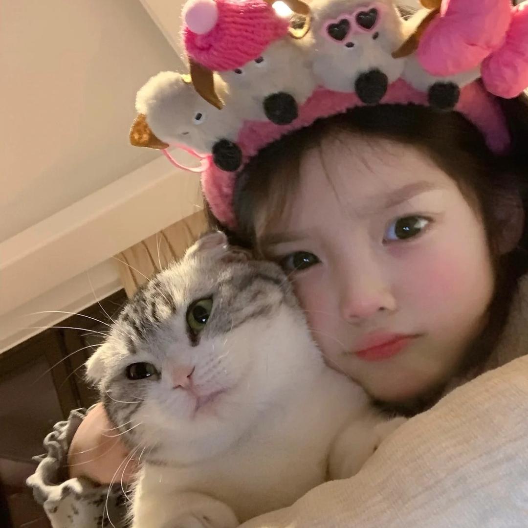 姜饼早起安假牙🫓